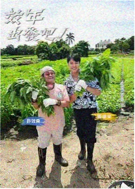 今夜不加班 职场综艺在线观看
